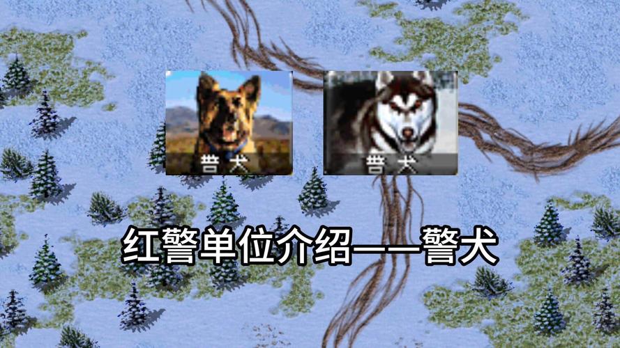 如何玩转红警2警犬?新手进阶必看技巧