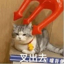 捡到千年猫杨过游戏好玩吗？新手玩家体验分享