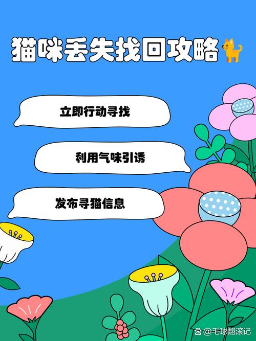 当你的猫咪更新地址找不到怎么办？解决方法都在这里！