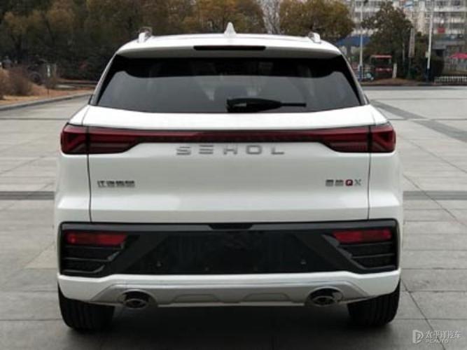 购买WEYX4 0指南：避坑技巧和选购建议