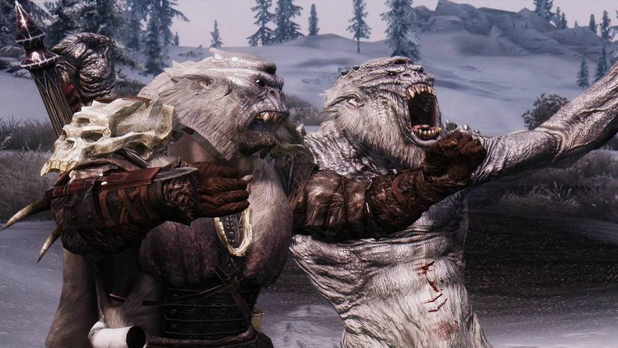 上古卷轴5种族选择指南:哪个种族最适合你?