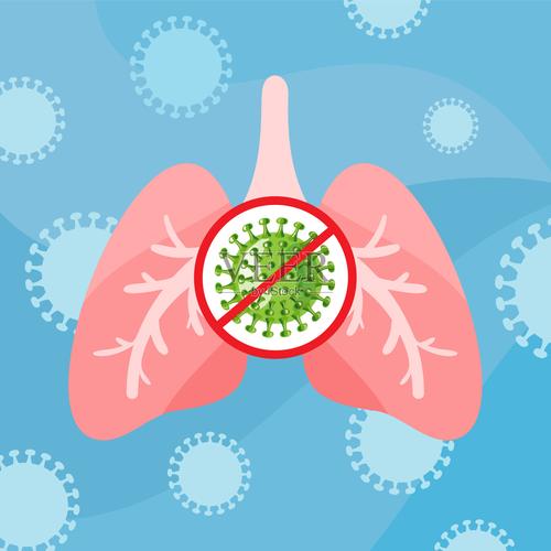 安全可靠的TT下载渠道推荐,避免病毒风险