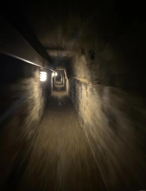 死亡帝国：揭秘巴黎地下墓穴的惊悚历史