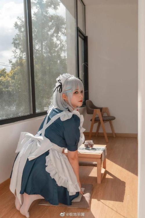 coser1下载地址大全，快速找到正版资源