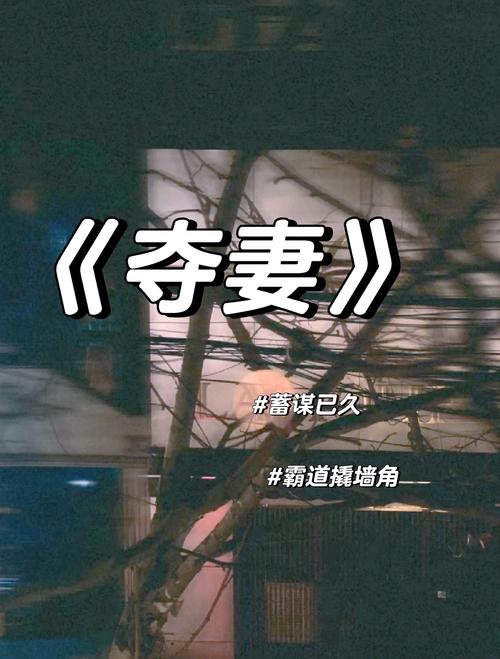 人妻夺取持续更新,最新地址一手掌握