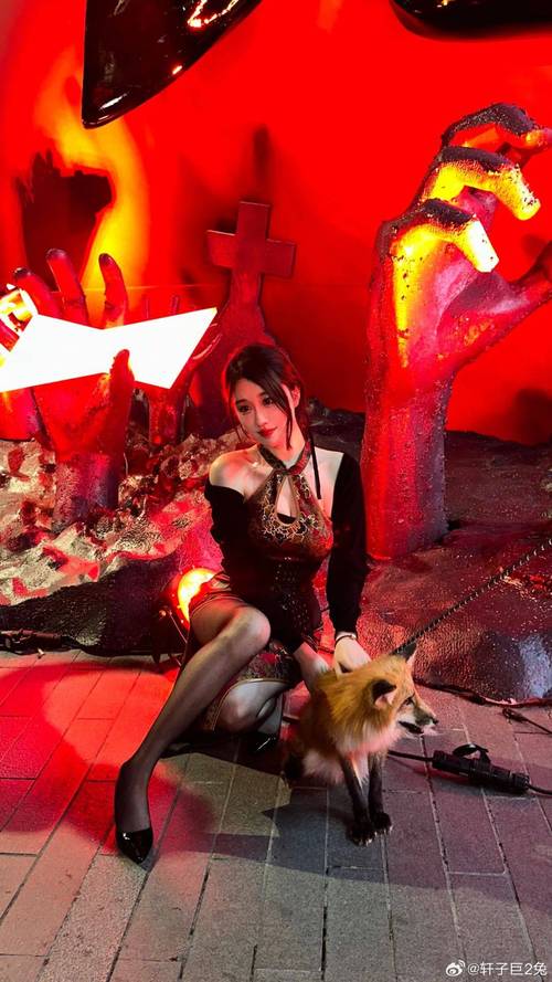 轩子巨二兔游戏攻略秘籍：快速通关的实用方法