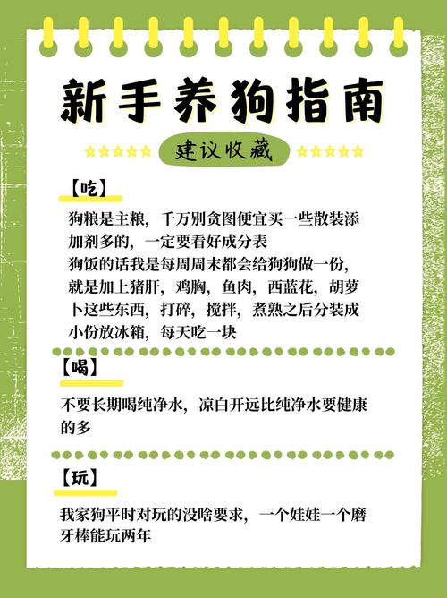 如何快速内丹领悟？宠物培养进阶指南