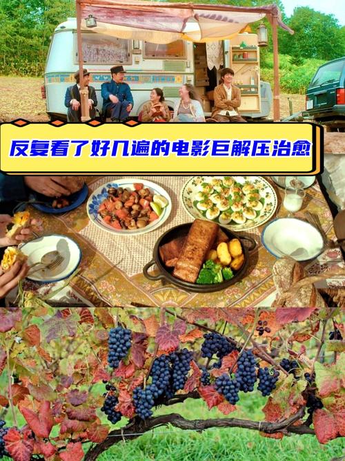 奈瑟匹拉电影解说,带你深入了解这部影片