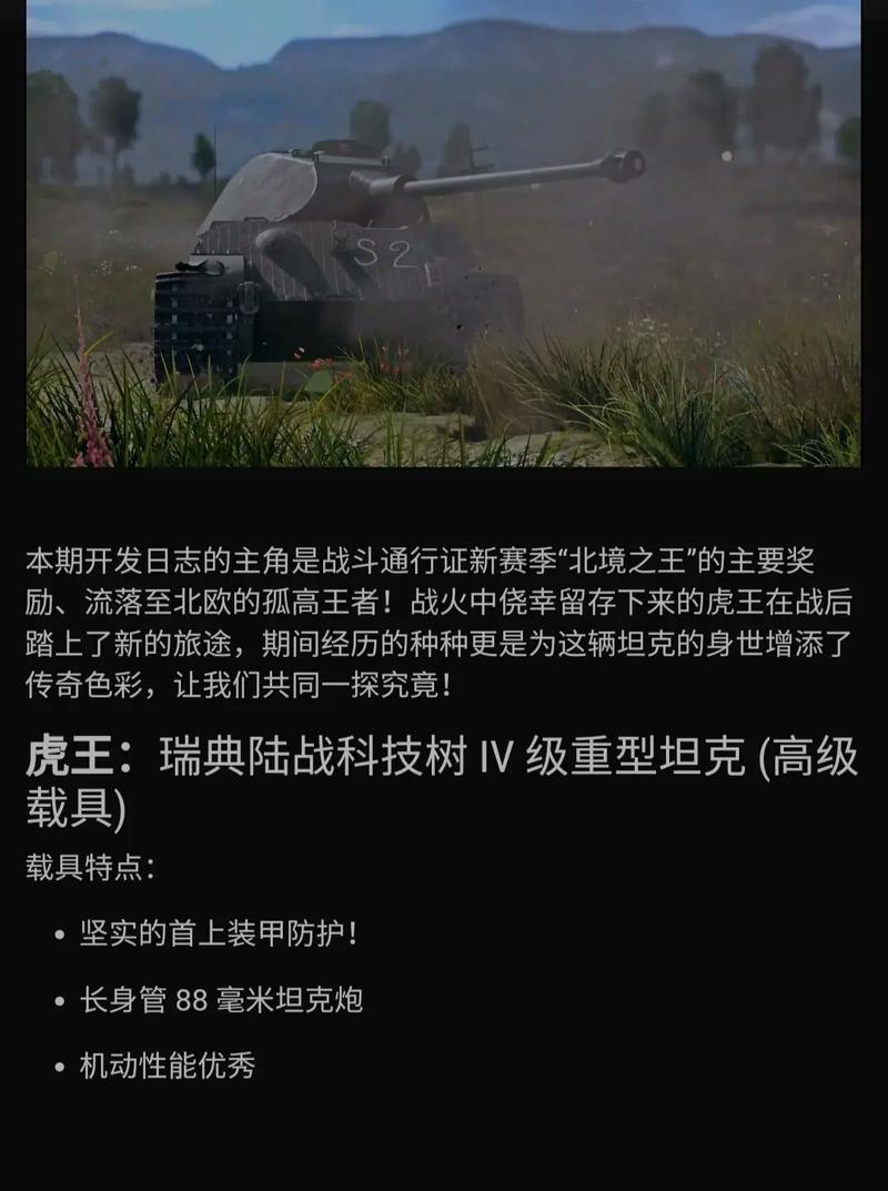 坦克世界虎王：新手入门指南及实战技巧详解