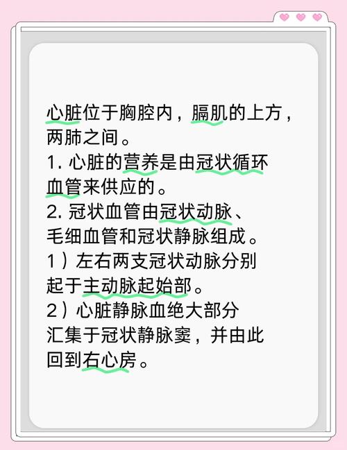 心脏问题游戏攻略技巧:高分秘籍,轻松获胜