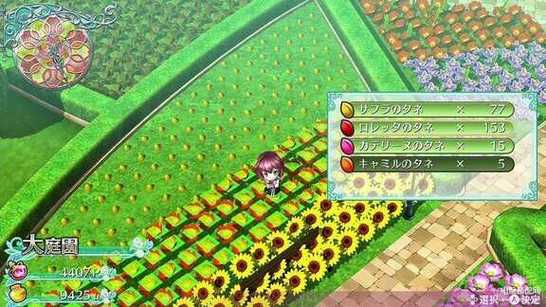 永恒的王国绅士游戏攻略:新手入门必看技巧