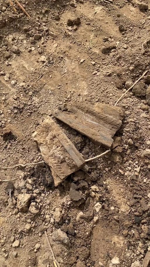 想快速获得车迟国古币？试试这些简单有效的方法！