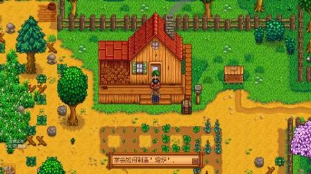 精英花园版本大全：Ep3、Ep4及其他版本介绍