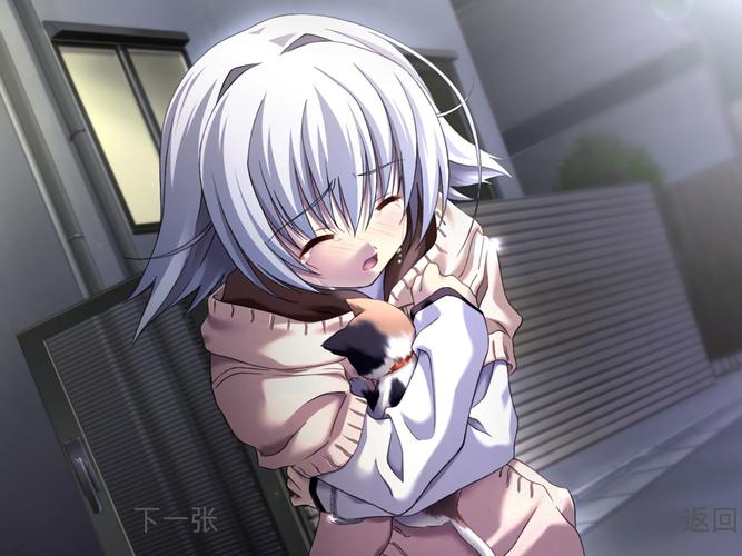 秋之回忆4游戏攻略:轻松玩转所有剧情路线