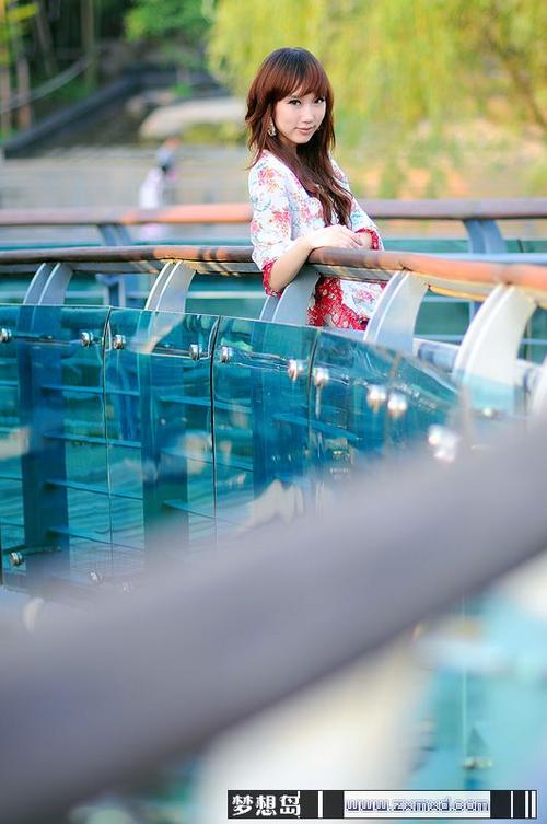 梦想岛中文小说推荐:有哪些值得一看的佳作?