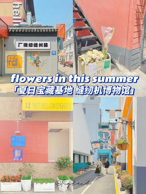 寻找夏日的宝物游戏攻略:解锁隐藏剧情和浪漫结局