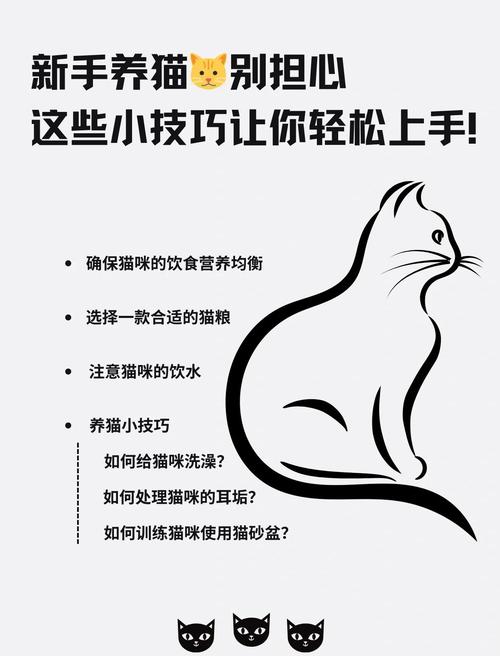 想玩当你的猫咪？版本大全助你轻松上手