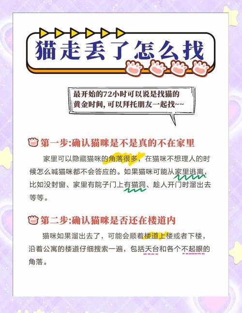 捡到千年猫更新地址在哪?超好玩游戏资源分享!