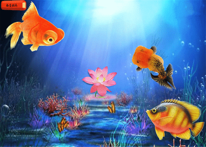 下载水族馆动态桌面壁纸：打造个性化手机屏幕