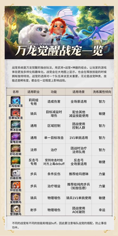 如何快速内丹领悟？宠物培养进阶指南