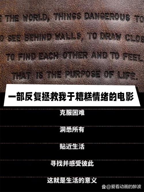 奈瑟匹拉电影解说,带你深入了解这部影片