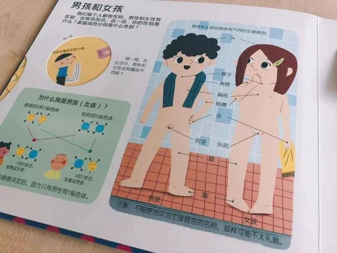性启蒙游戏攻略:如何引导孩子正确认识性