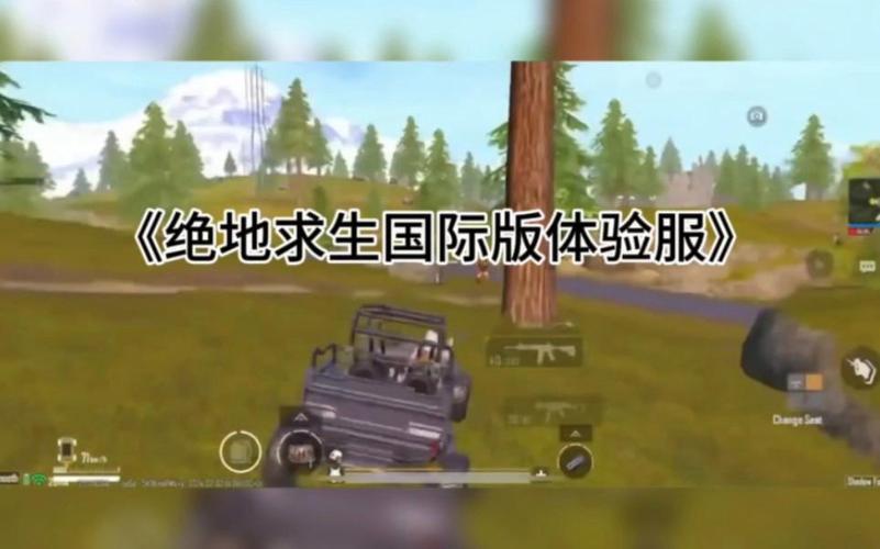 绝地求生国际体验服下载地址及教程详解