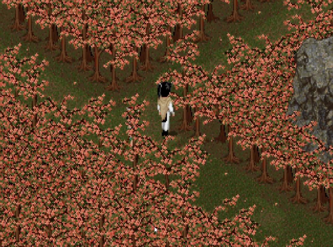 仙剑5前传雾荫谷全收集指南:成就达成攻略