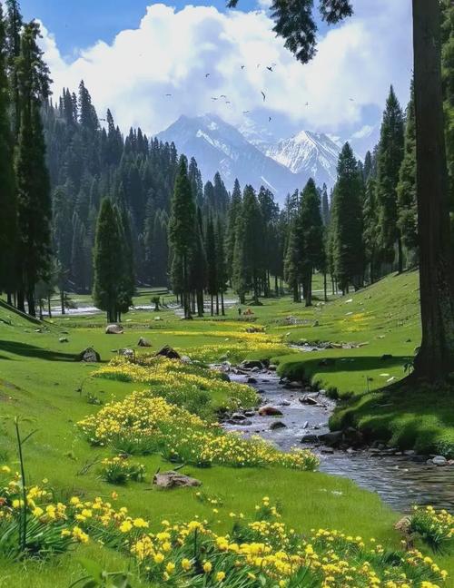 克格萌犬：挫折与希望交织的热血古装传奇