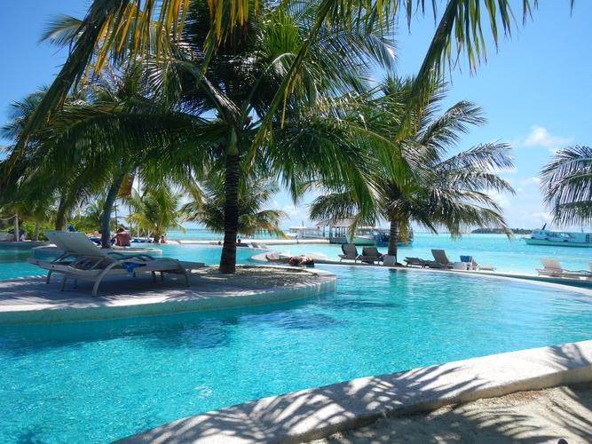 天堂岛资源网站推荐：高清流畅，随时随地想看就看！