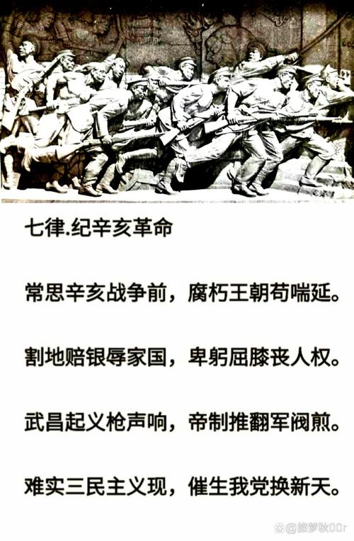 夏辛酉：抗击外侮的忠勇将领和他的时代