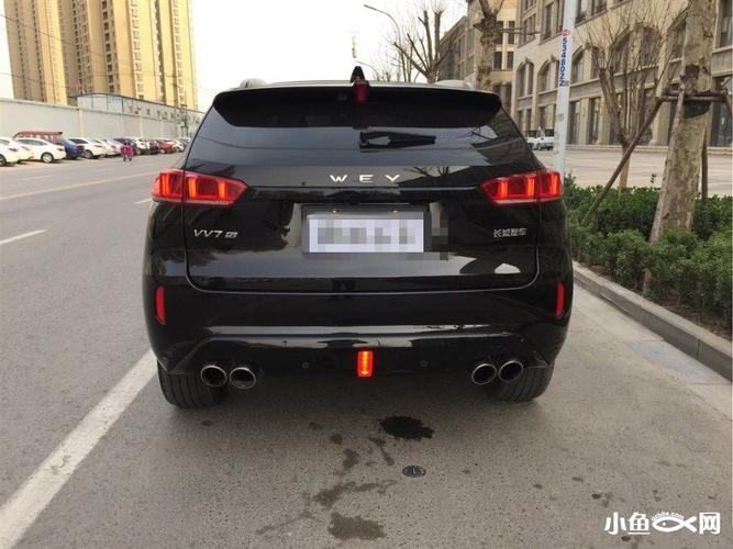 购买WEYX4 0指南：避坑技巧和选购建议