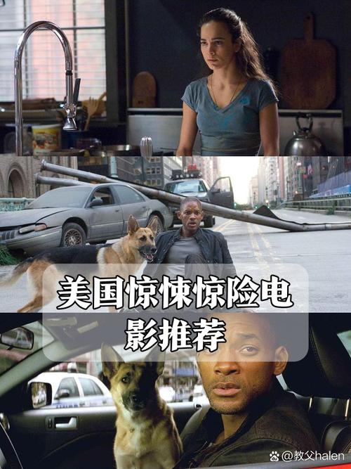 杀手联盟:一部让你心跳加速的惊险电影!