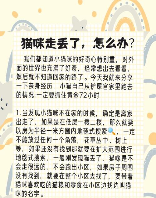 当你的猫咪更新地址找不到怎么办？解决方法都在这里！