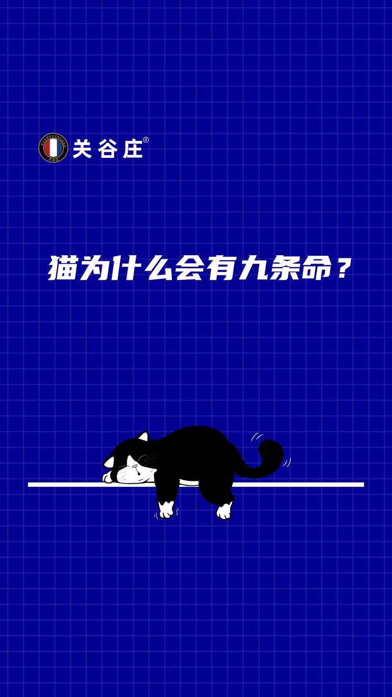 俗话说猫有九条命，蚂蚁庄园告诉你答案，是真的吗？