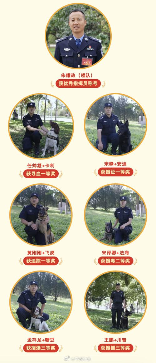 第八区新宠物警长来袭，参与活动轻松获得！