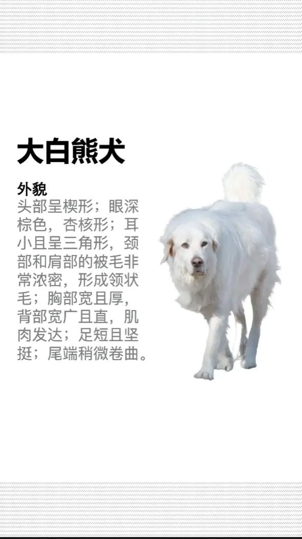 梦寐以求的白色北极熊缰绳，入手方法大揭秘！