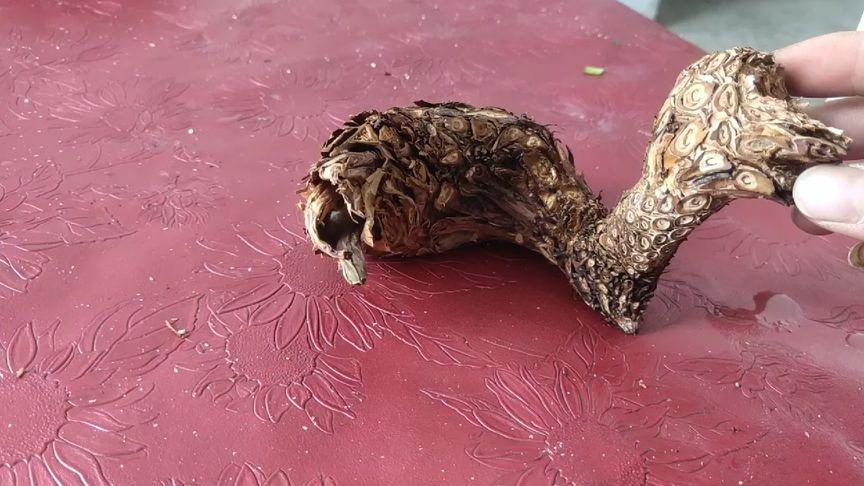 如何进行宝物鉴定?避免上当受骗的实用技巧