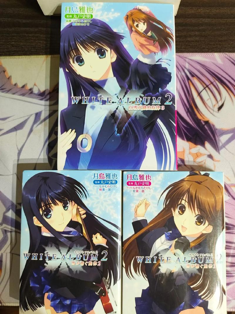 寻找白色相簿合集绅士游戏?这篇经验避免你走弯路