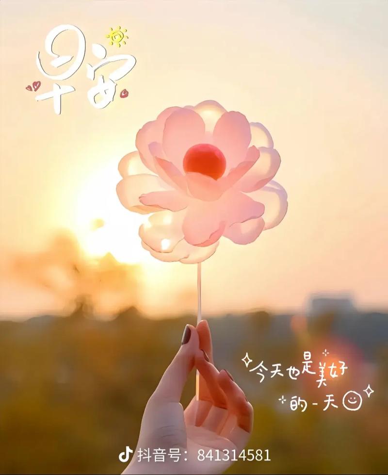 她社区：分享生活，遇见更好的自己