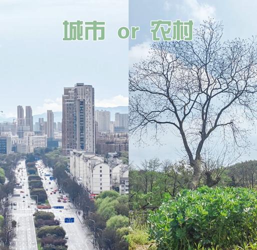 城市家园版本大全对比：哪个版本更适合你？