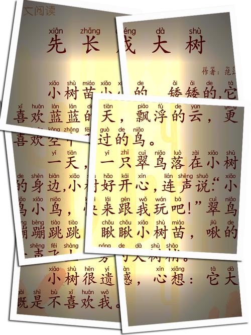 我是接班人：从小树苗长成参天大树的蜕变之路