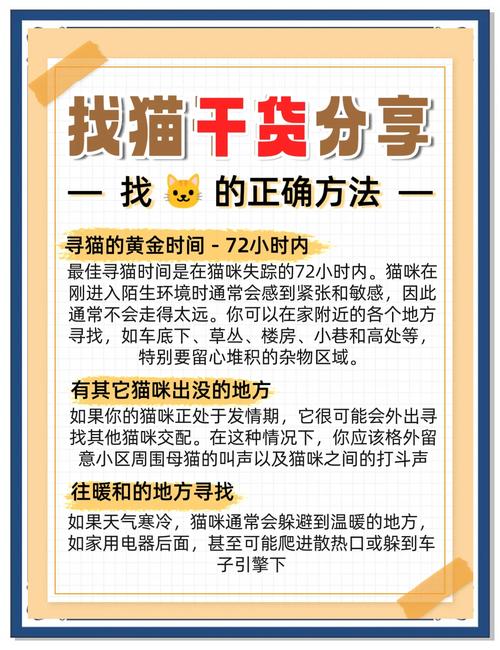 当你的猫咪更新地址找不到怎么办？解决方法都在这里！