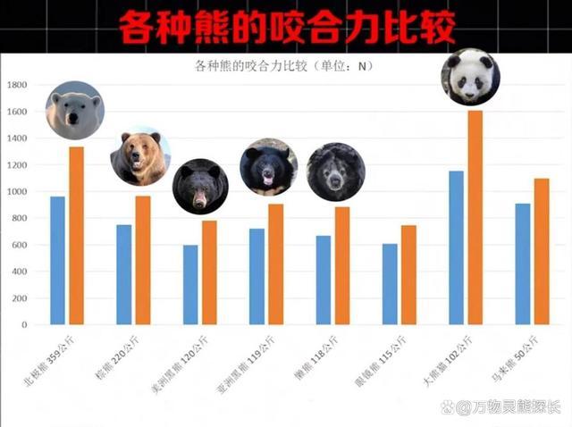 最强桃园骠骑加点推荐:提升战力秒杀敌人