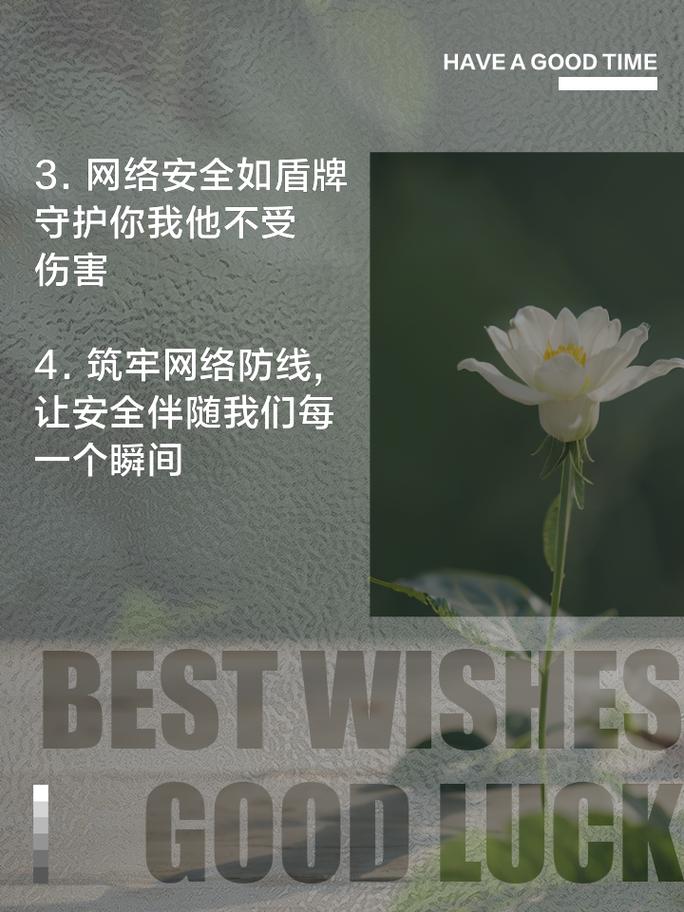 吸血鬼网站骗局大揭秘,保护你的网络安全!