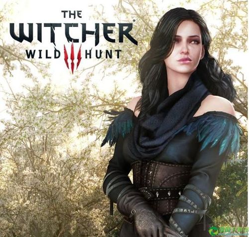 巫师的悖论最新版本：4.7G资源免费获取