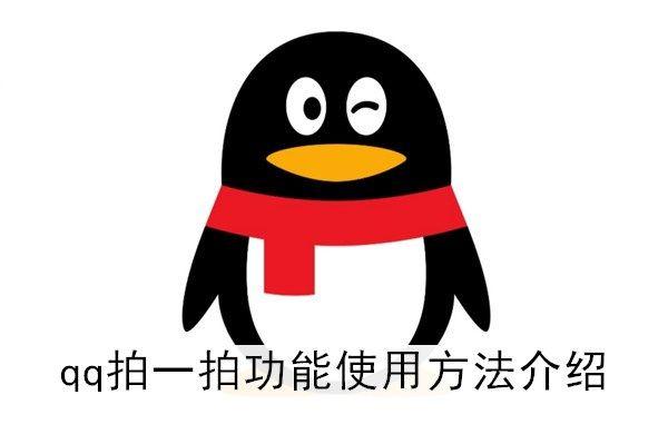 QQ拍一拍功能不会用?教你简单几步搞定