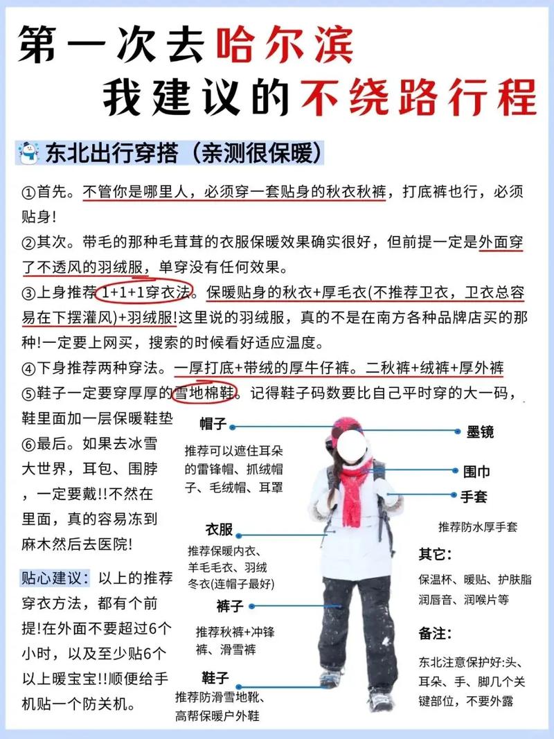 生化危机春游戏下载教程：避坑指南与资源推荐