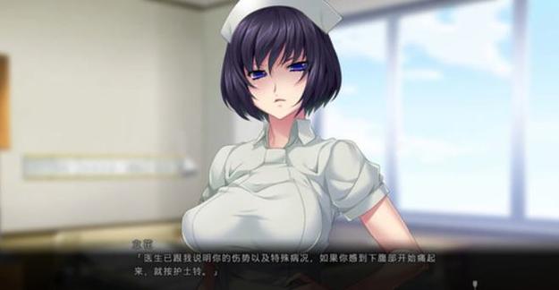 魅魔莉莉姆升级记:好玩的绅士游戏推荐