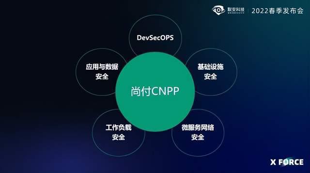 妻子的电话最新版本安全吗？全面解析，消除你的安全顾虑